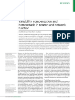 Marder-Goaillard, 2006 Nat Nsci, Homeostasis in Neuron and Networks
