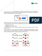 VOD-Acidos nucleicos-2019-cdf100b688911758f4afff3c1c7ba908