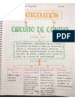 Organizador Gráfico Introducción