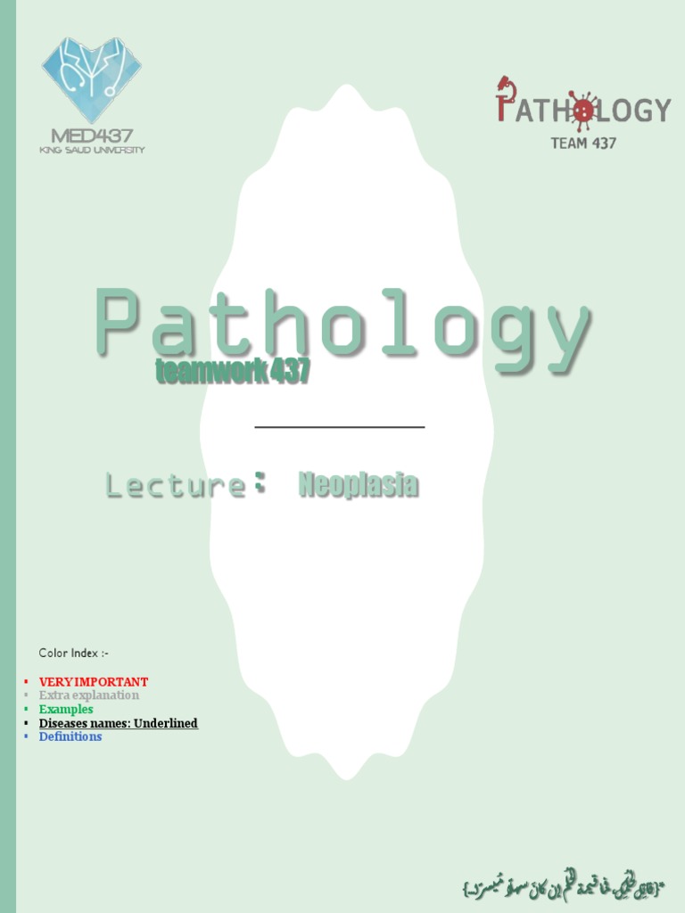 6 Neoplasia Download Free Pdf Metastasis Neoplasms