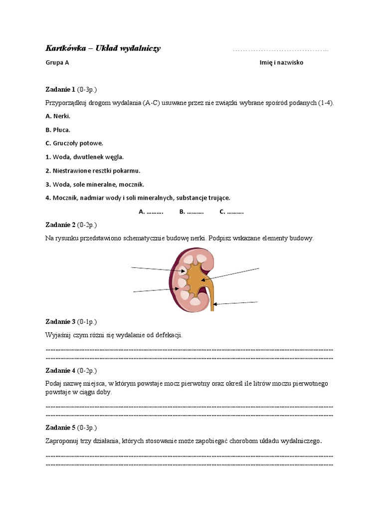 Układ Wydalniczy Test Klasa 7 Kartkowka Uk Wydalniczy 7 A | PDF