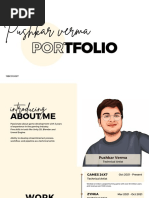 Random Portfolio