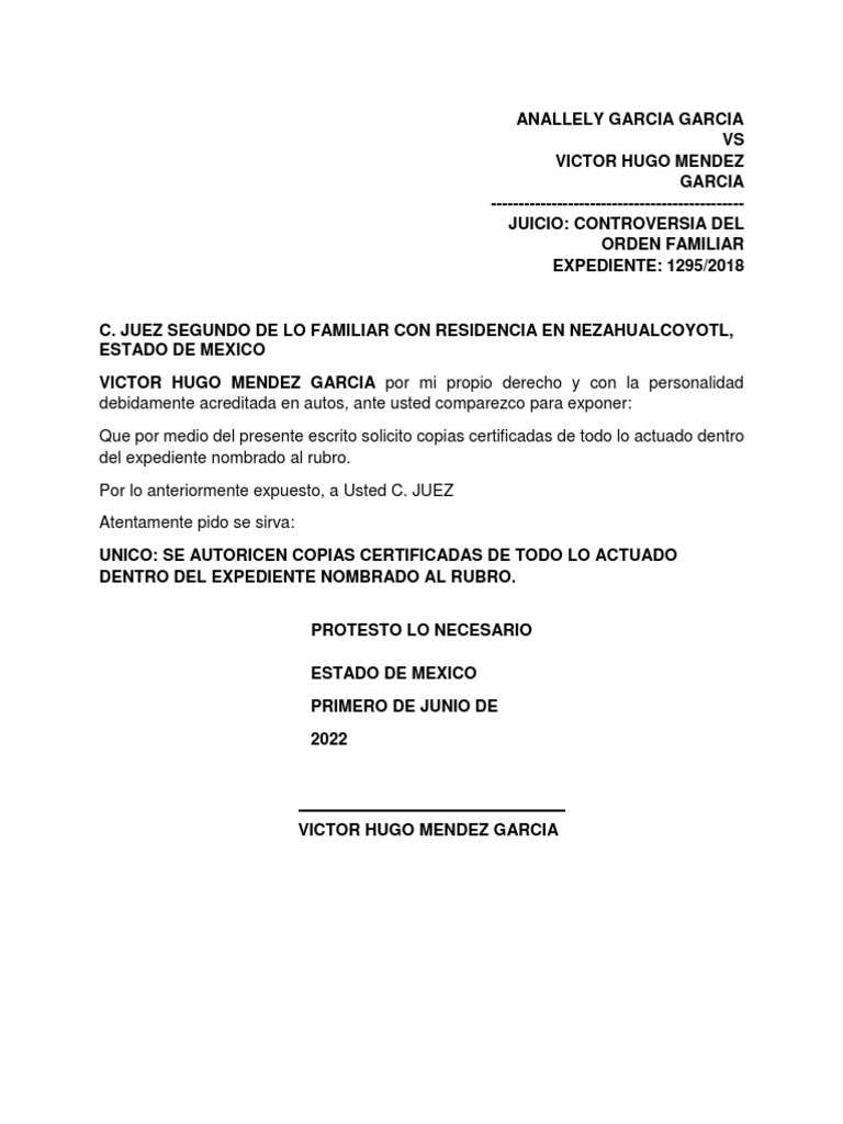 Copias Certificadas | PDF
