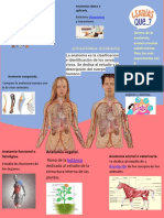 Infografias (Anatomia y Fisiologia)