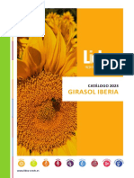 Lidea Girasol Iberia 2023