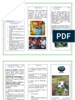 Trifoliar Biofertilizante