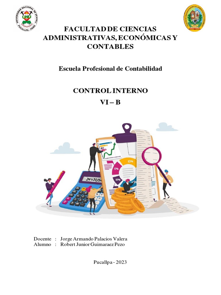 Control Interno en Contabilidad 2023 | PDF