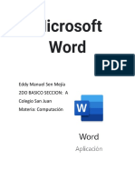 Microsoft Word