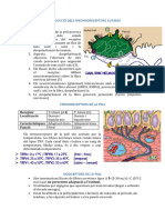 Fisio Histo Embriologia m2