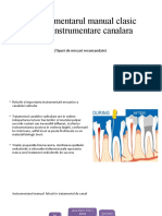 3.prezentare-endo