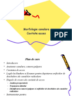 Curs 2 Morfologie Cavitate Acces