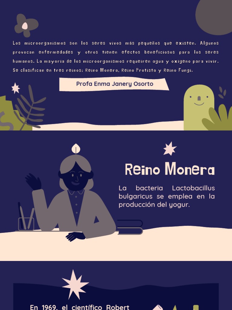 Bacterias del Reino Monera y su Importancia | PDF | Las bacterias | Plantas