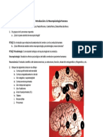 Introducción A La Neuropsicología Humana