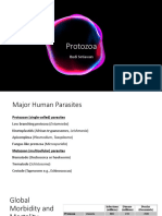 Materi Protozoa PDF