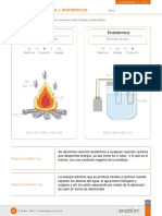 Reacciones Exotérmicas y Endotérmicas