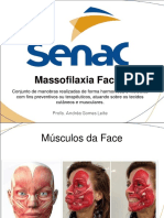 Massofilaxia facial: técnica preventiva e terapêutica