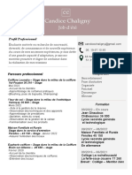 CV Axon PDF