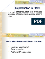 4.02 Plant Propagation