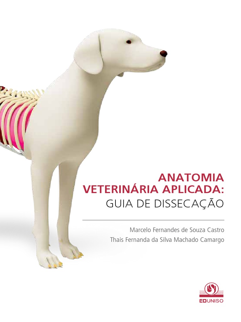 Anatomia Veterinária Pdf Anatomia Nervo