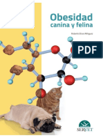 Obesidad Canina y Felina