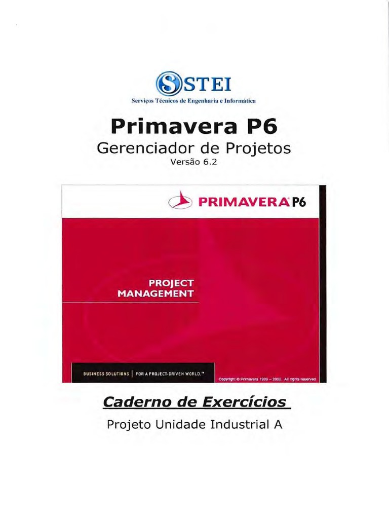 Caderno de Exercícios Primavera P6 | PDF | Engenharia | Business