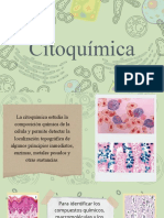 Citoquímica