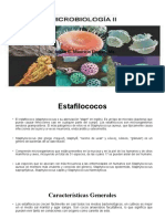 Estafilococos Tema 2, Microbiologia II (1)