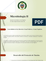 Gram Positivas Vs Gram Negativas, Microbiologia II