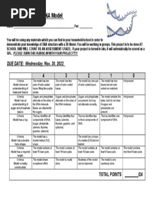 Grading Rubric for DNA Model