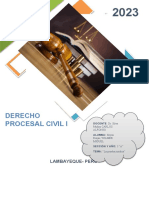 Principios de la nulidad procesal en el derecho peruano