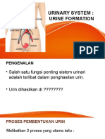 Urine Formation