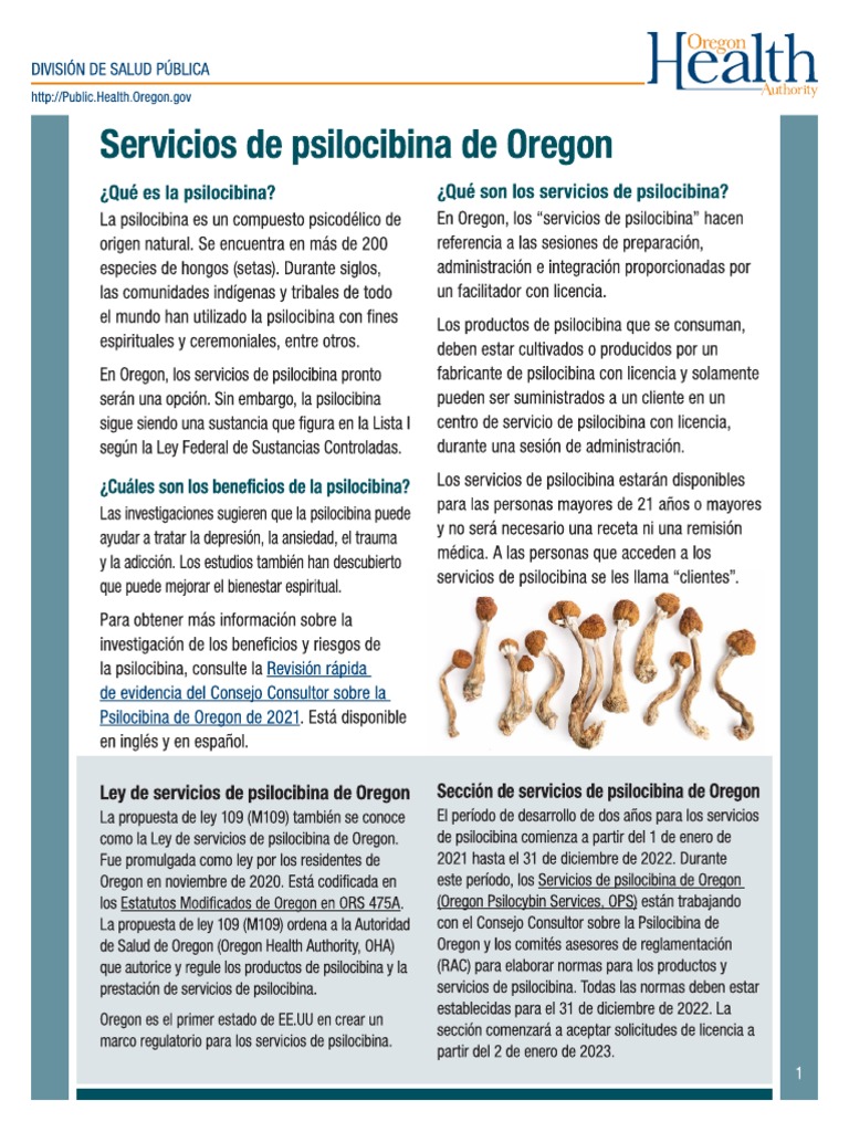OPS Fact Sheet in Spanish PDF