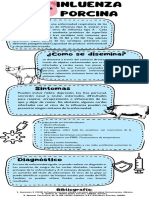 Infografía Influenza Porcina