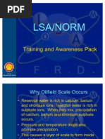 Download Lsa Norm Training Expro by SadanandMaduskar SN62883929 doc pdf