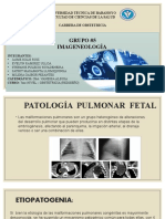 Patología Pulmonar Fetal.