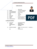 CV - Villanueva J.