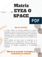 MATRIZ PEYEA o SPACE 1