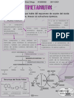 Esquema Antimetabolitos, Acido Folico, Metrotextato