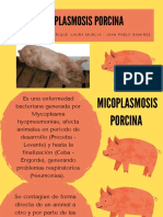 Mycoplasma Porcino
