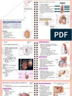 CUADERNO Morfologia 1 1 64 57 63