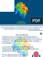 Presentacion Ruta Salud Mental