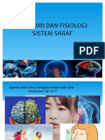 Anfis Sistem Saraf