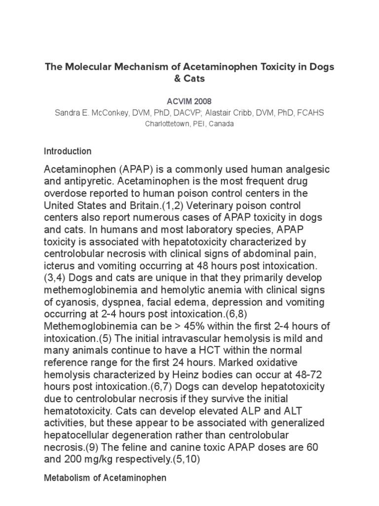 The molecular mechanism of acetaminophen toxicity in dogs cats