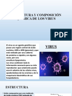 18 Estructura y Composicion Quimicas Del Virus