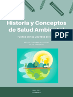 Salud Ambiental