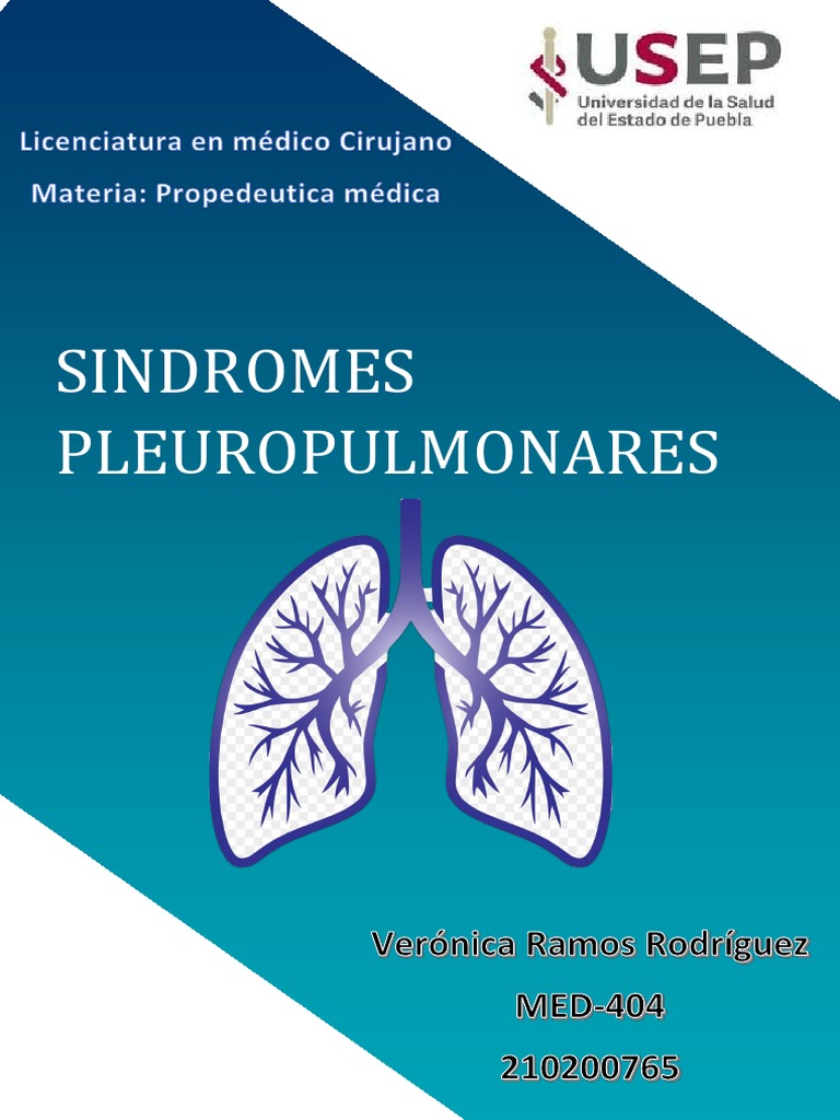 Síndromes Pleuropulmonares: Diagnóstico y Signos | PDF | Pulmón ...