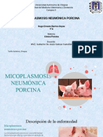 Micoplasmosis Neumónica Porcina - Presentación