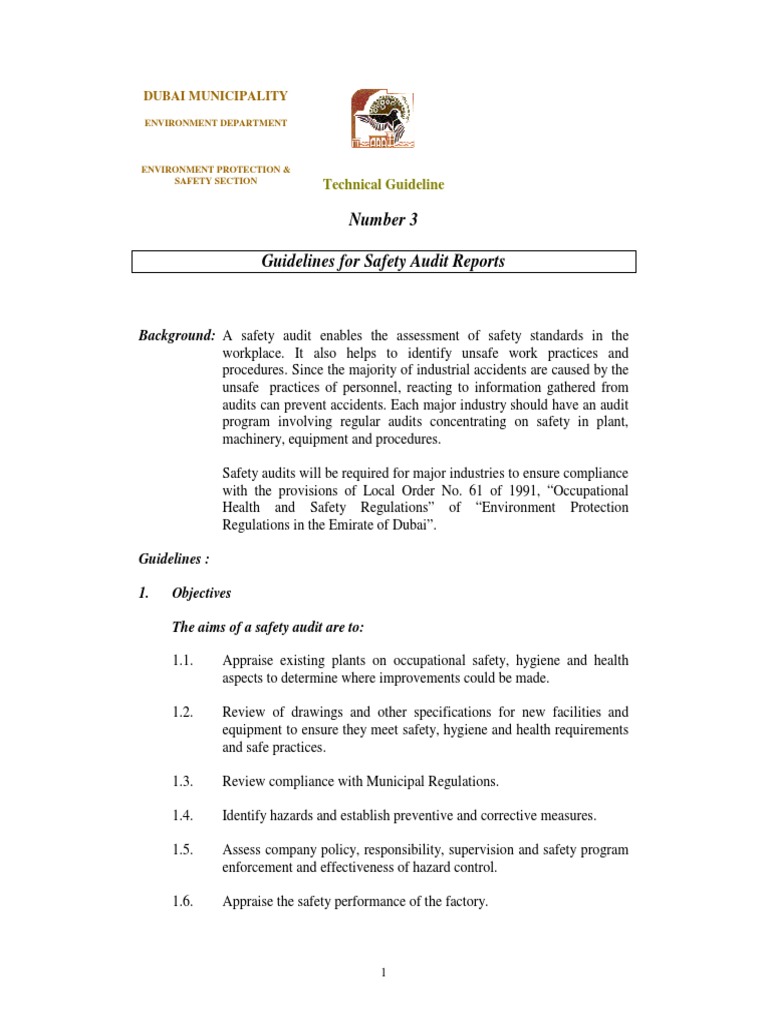 Safety Audit Guidelines for Dubai | PDF | Occupational Safety And ...