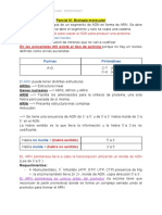 Parcial III - Biología Molecular