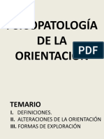 Psicopatología de La Orientación